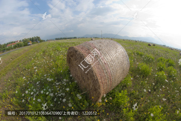 haybale；托斯卡納