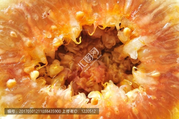 鮮無花果的微距拍攝