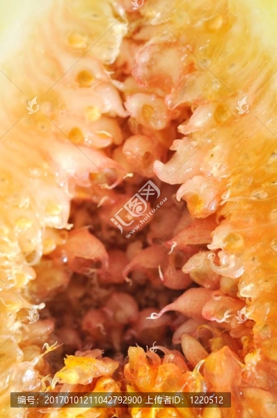 特寫鏡頭的切割圖