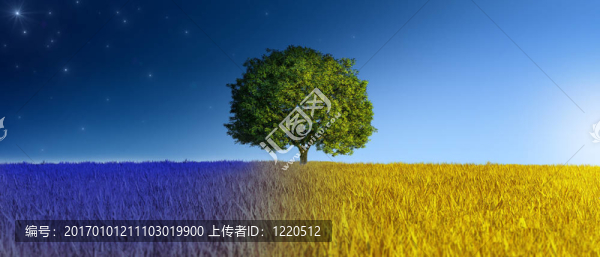 白天和黑夜