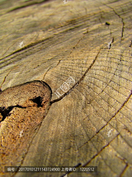 詳細介紹了干切一個箱子