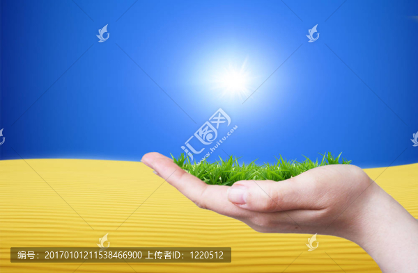 生產(chǎn)或使用綠色產(chǎn)品