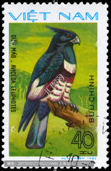 越南-大約1982黑冠鵑隼-匯圖網(wǎng) www.fosd68.com 越南-大約1982黑冠鵑隼