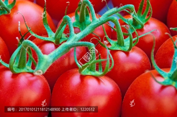 西紅柿