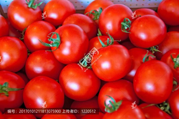 西紅柿