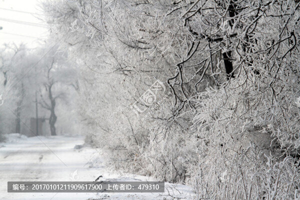 霧凇,冬天,雪景,玉樹(shù)瓊枝,冰
