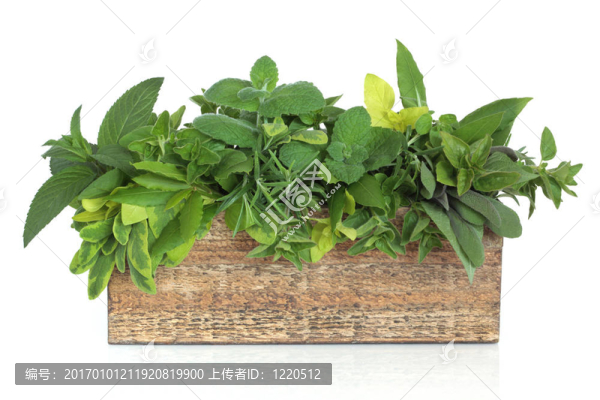 草莖葉混合物