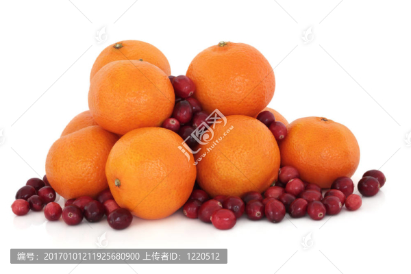 Tangerine夜店和酸果蔓的果實(shí)
