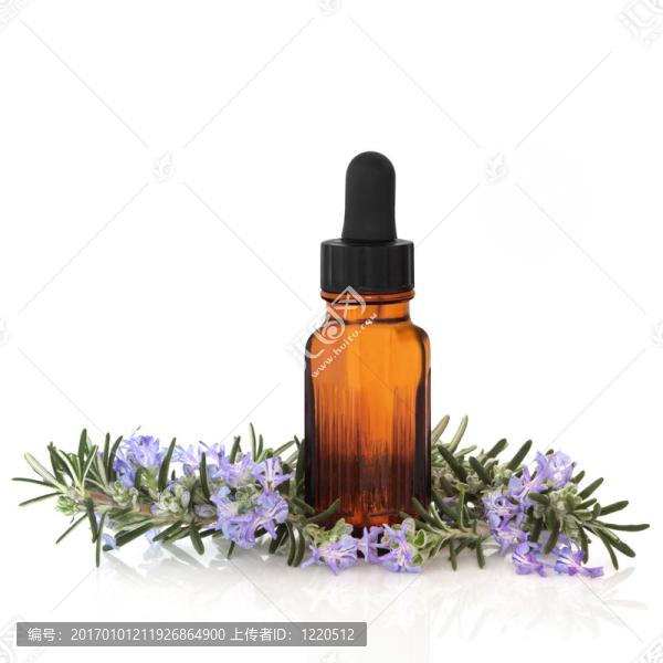 迷迭香精華