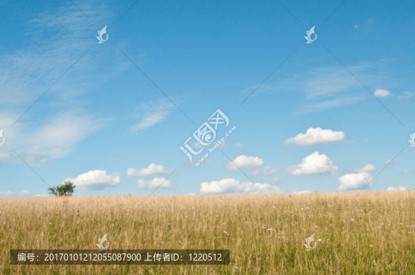 藍色夏日天空上的云朵
