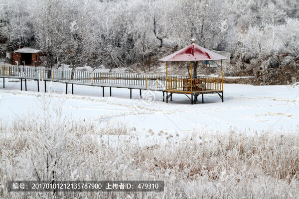 霧凇,冬天,雪景,玉樹瓊枝,冰