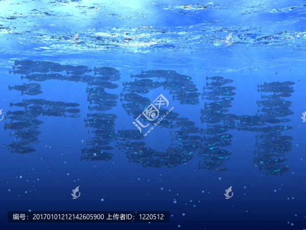 魚(yú)群