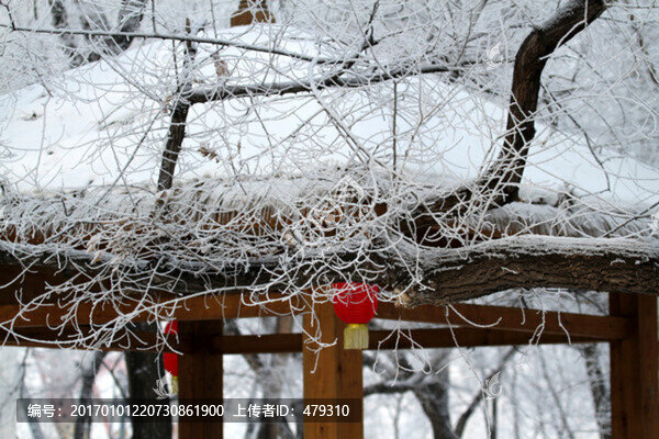 寺廟,建筑,雪,霧凇冬天,雪景