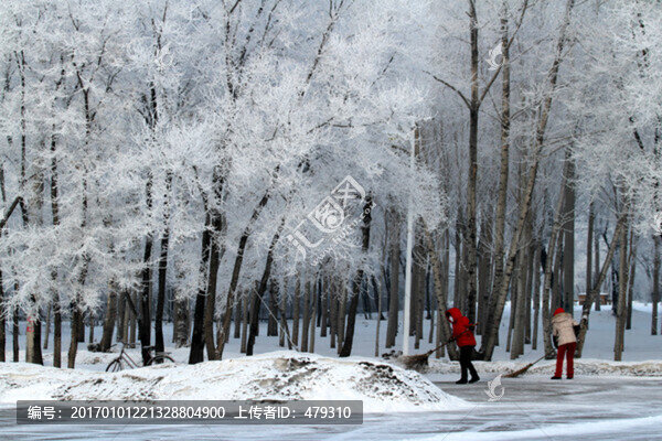霧凇,冬天,雪景