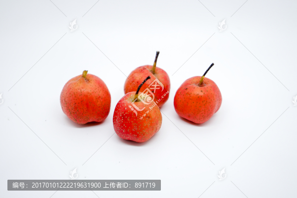 山楂果實(shí),山楂果,糖葫蘆