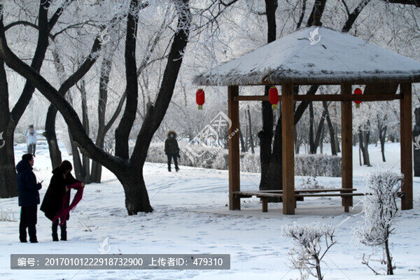 霧凇,冬天,雪景,玉樹(shù)瓊枝