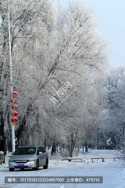 霧凇,冬天,雪景,玉樹瓊枝
