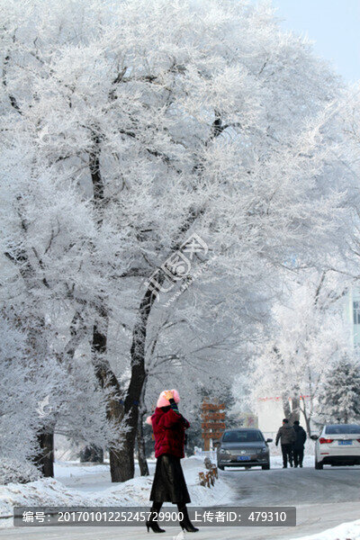 霧凇,冬天,雪景,玉樹瓊枝