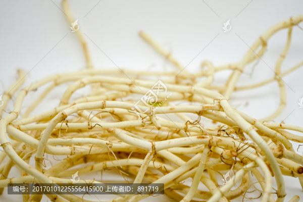 魚腥草,,折耳根