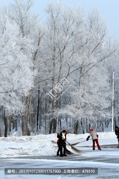 霧凇,冬天,雪景,玉樹瓊枝,冰