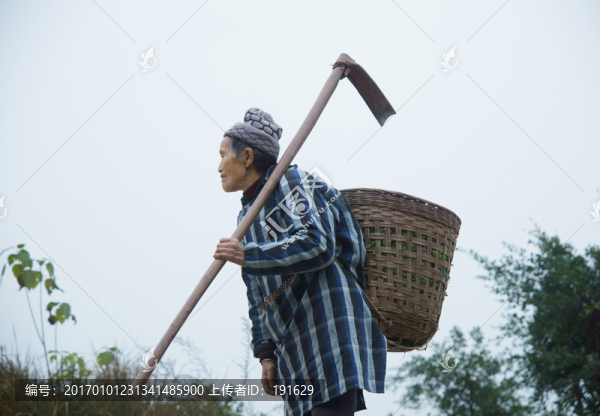 拿鋤頭的老人
