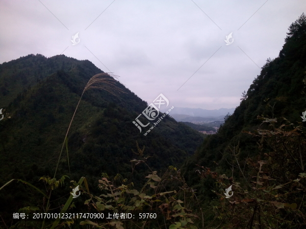 山中遠(yuǎn)眺