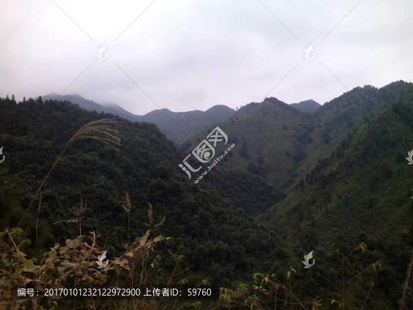連綿的群山