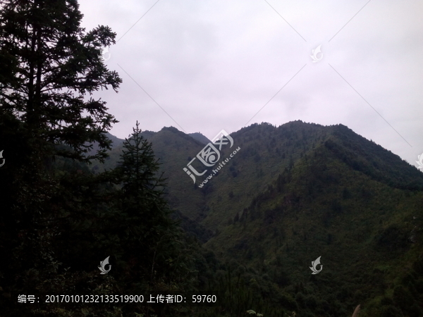 遠望青山
