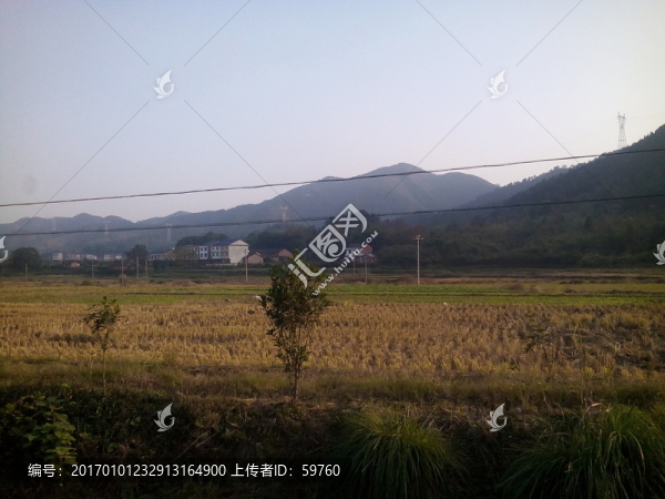 冬天的田野