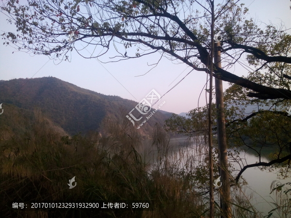 山水樹影