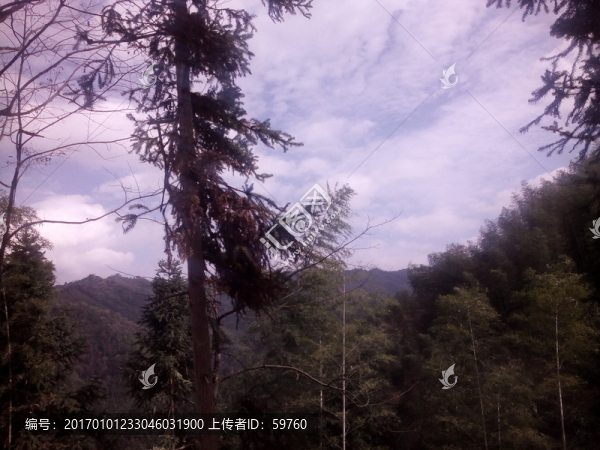 大山深處