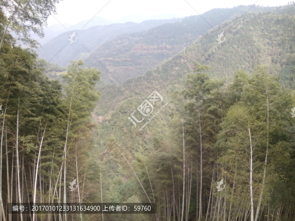 連綿的群山