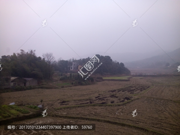 冬天的莊稼地