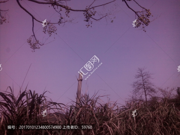 茅草天空