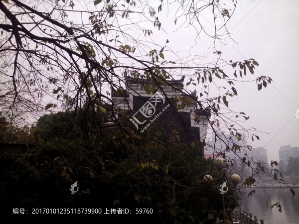 古建筑樹影