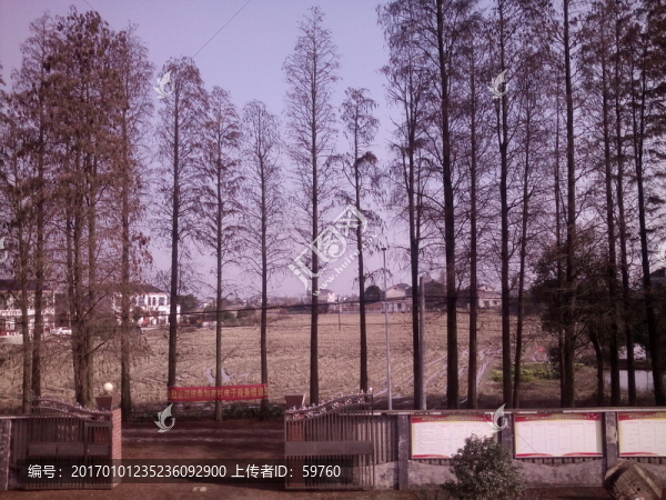 樹林鄉(xiāng)村