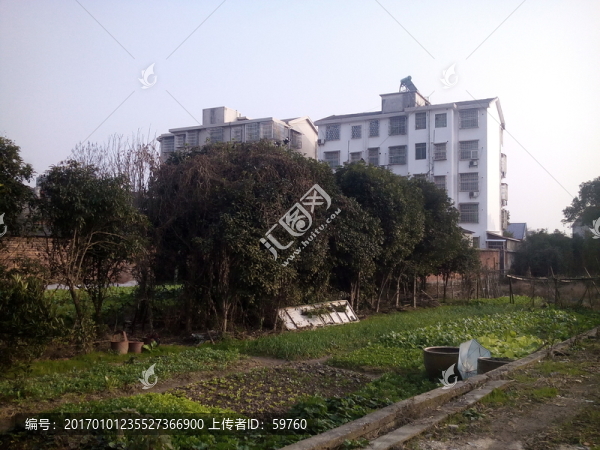 菜地建筑