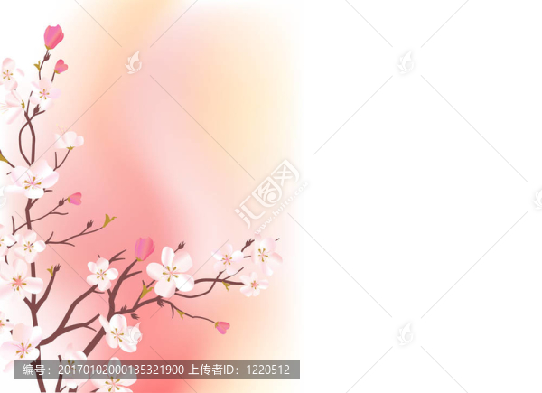 淺粉紅色的背景與開花樹的分支