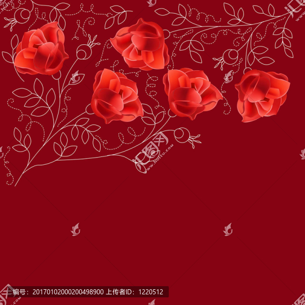 紅色玫瑰在黑暗的背景與文字空間