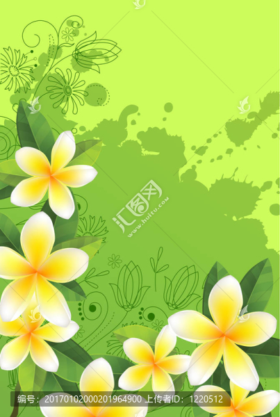 鮮綠色樹葉和白花的框架