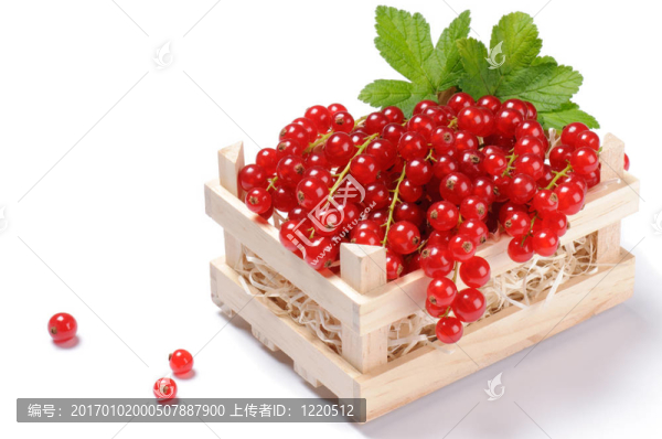 小木箱裝滿紅醋栗