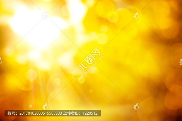 抽象的秋季背景