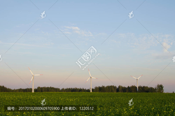 在一場三個風車