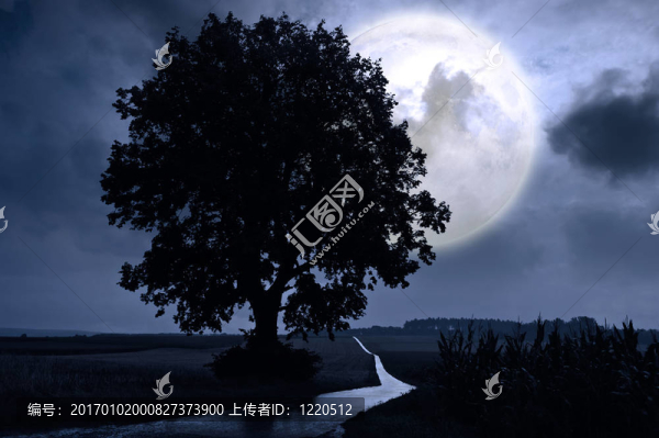滿(mǎn)月
