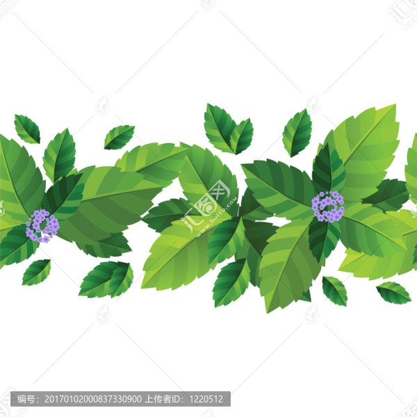 薄荷葉無縫圖案