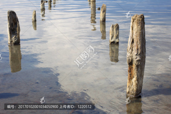 古老的木柱在水中咸死海