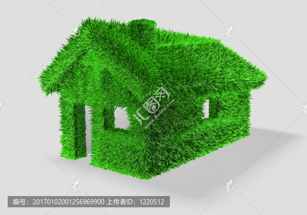 一個(gè)有草的綠色房子3D說明