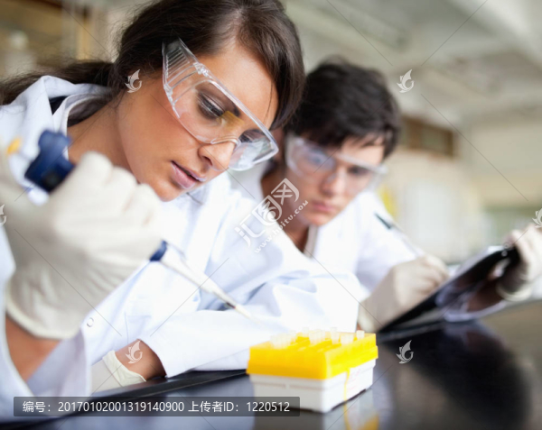 嚴肅的年輕科學家工作