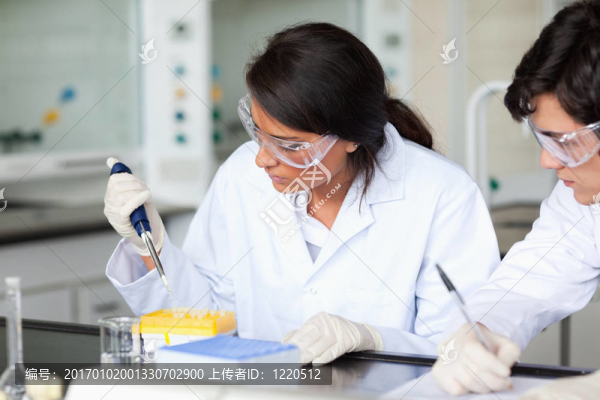 嚴(yán)肅的科學(xué)家的工作