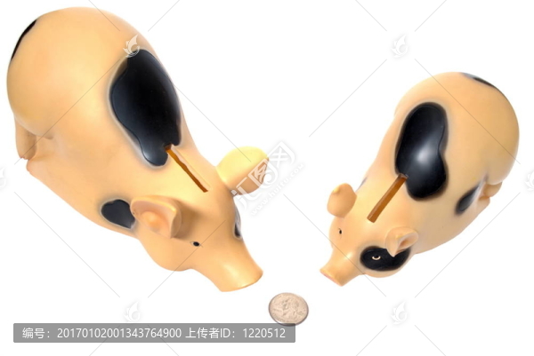 兩只豬發(fā)現(xiàn)了一枚硬幣